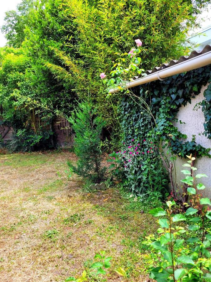 Villa Avec Piscine A ボルドー エクステリア 写真